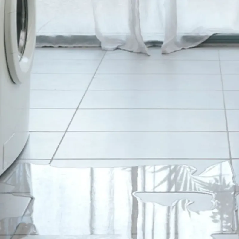 Appliance Leak Cleanup in Guthrie, TX