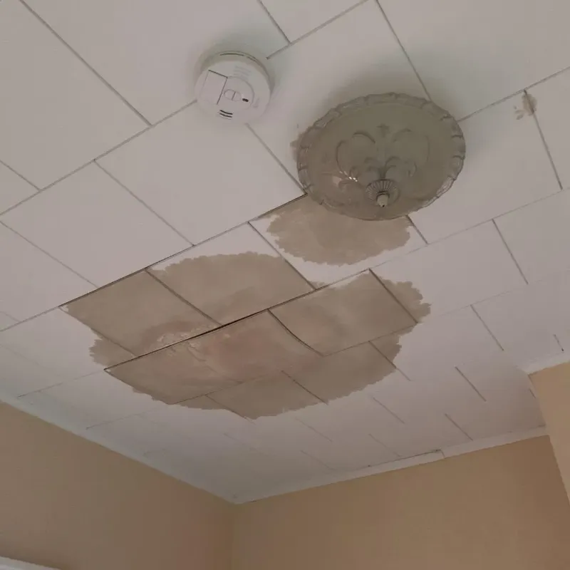 Ceiling Water Damage Repair in Guthrie, TX