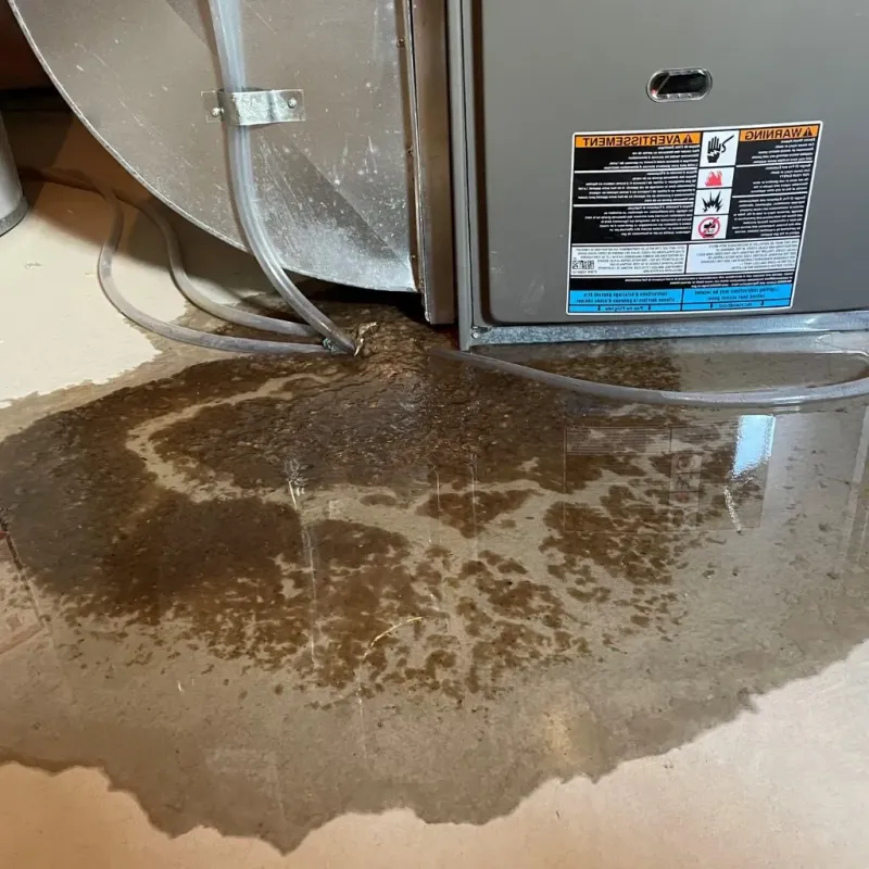 Pipe Burst and Leak Restoration in Guthrie, TX