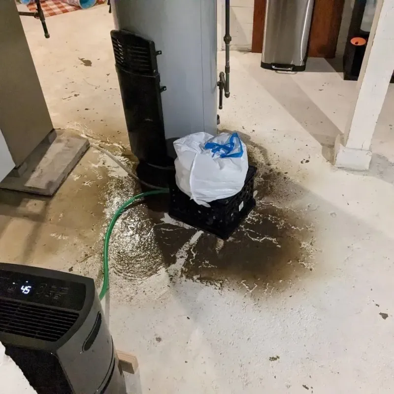 Sewage Backup Cleanup Service in Guthrie, TX